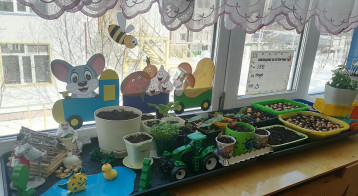 Огород на окне Огород на окне.