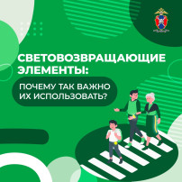 Профилактическая акция по ПДД "ЗАСВЕТИСЬ!" Профилактическая акция по ПДД "ЗАСВЕТИСЬ!".