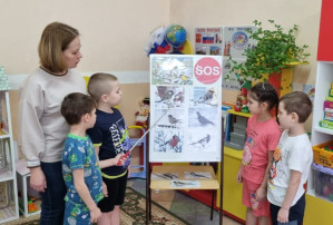 Акция «Покормите птиц» Акция «Покормите птиц».