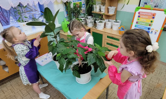 Ухаживаем за комнатными растениями Ухаживаем за комнатными растениями.