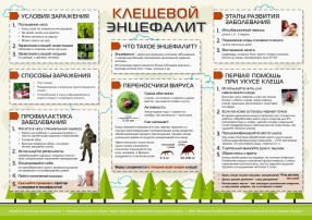 О профилактике клещевого вирусного энцефалита О профилактике клещевого вирусного энцефалита.