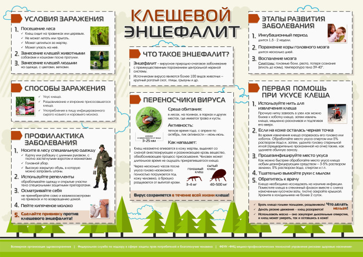 О профилактике клещевого вирусного энцефалита О профилактике клещевого вирусного энцефалита.